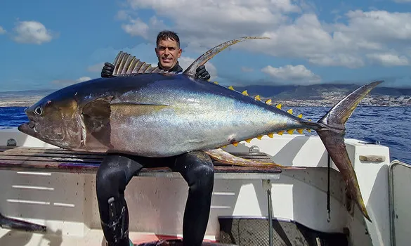 Yellowfin Tuna Record