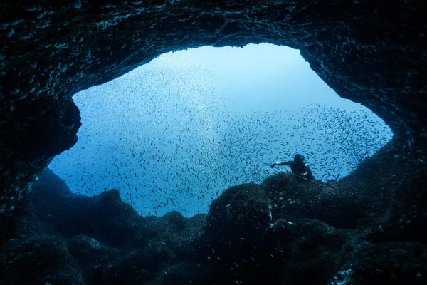 An empty line up and a couple friends enjoying perfection in Indonesia.