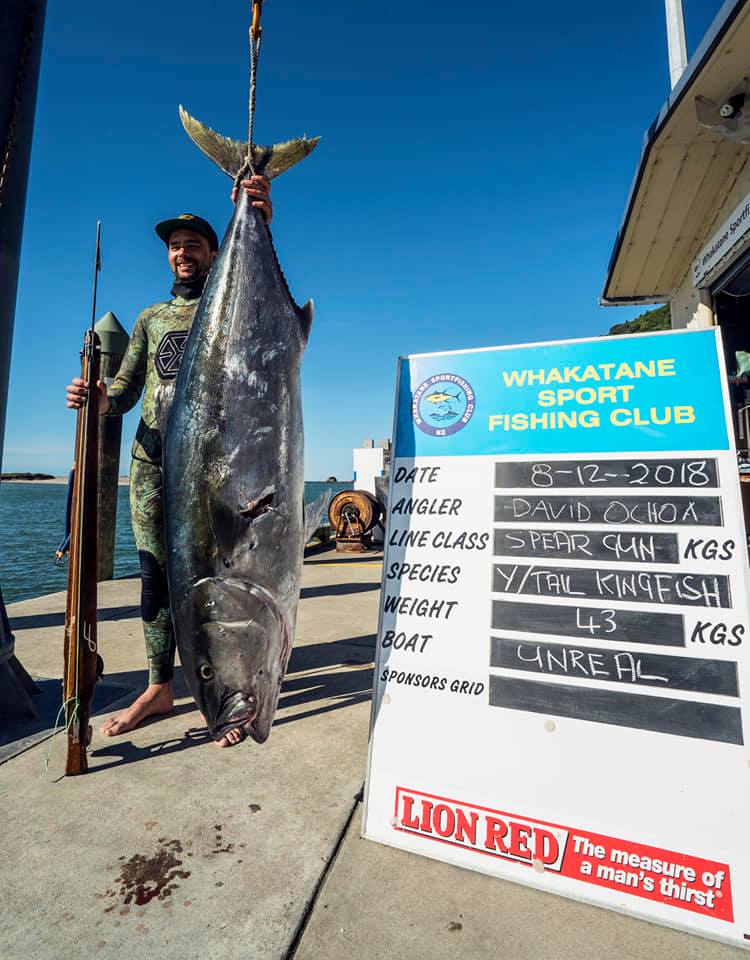 My biggest yellowtail. New Zeland, 2019.