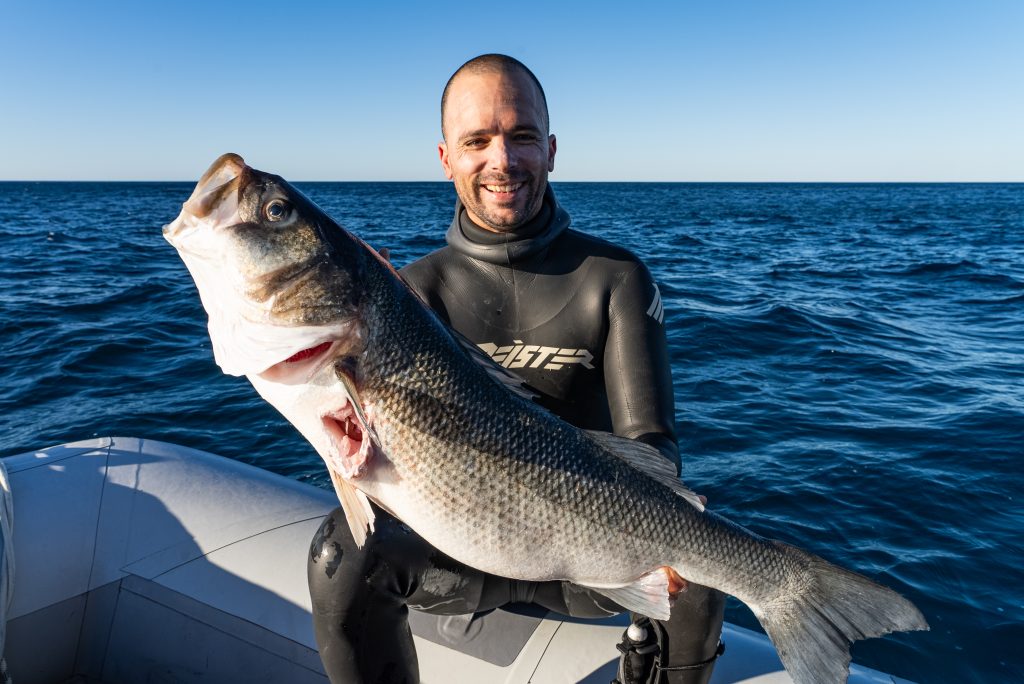 7Kg seabass shot in the white water. Portugal, 2024.